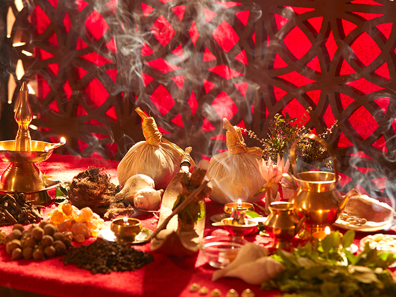 DPU Ayurved Hospital Infrastructure