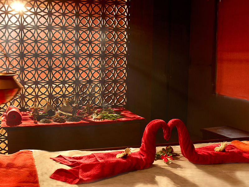 DPU Ayurved Hospital Infrastructure