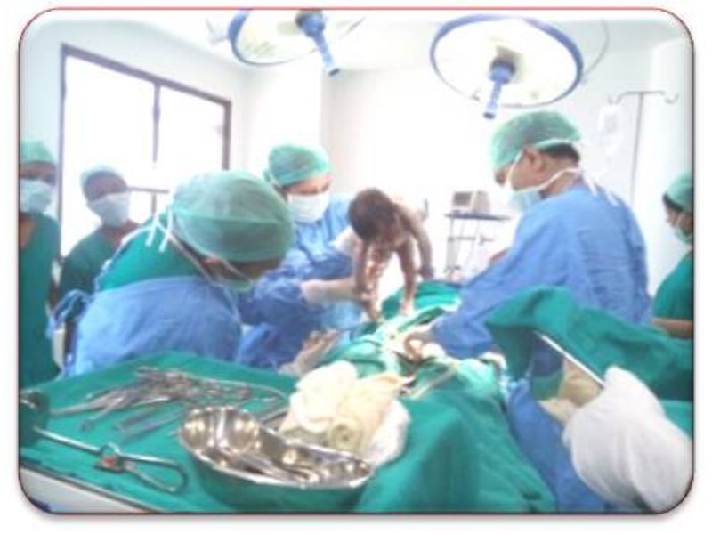 DPU Ayurved Hospital Infrastructure