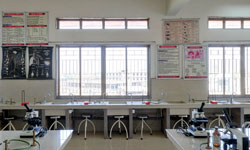 Practical Lab