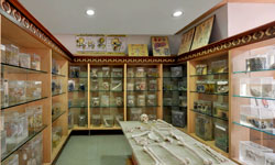 Rachana Sharir Museum